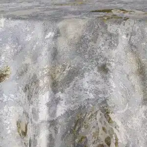 Aquarius -Silver