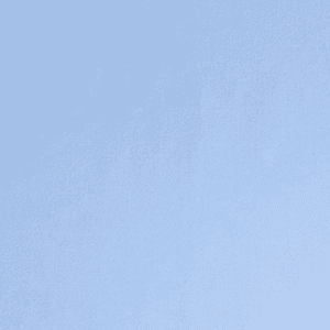 Birdeye Blue