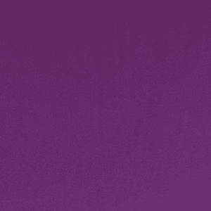 Plum Purple