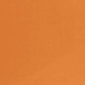 Sorbet