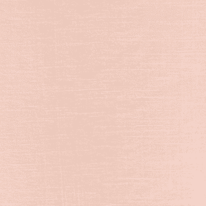 Sea Shell