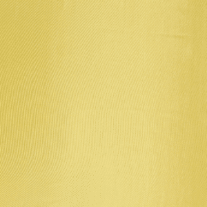 Hot Canary Yellow